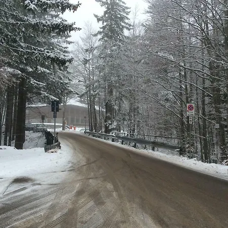 Cristallo Val Di Luce *
